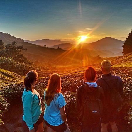 C1 Backpackers Hostel 카메론하일랜즈 외부 사진